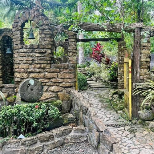 view of the garden